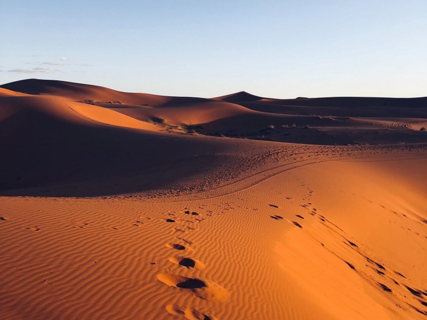 desert, sand, footprint, morocco