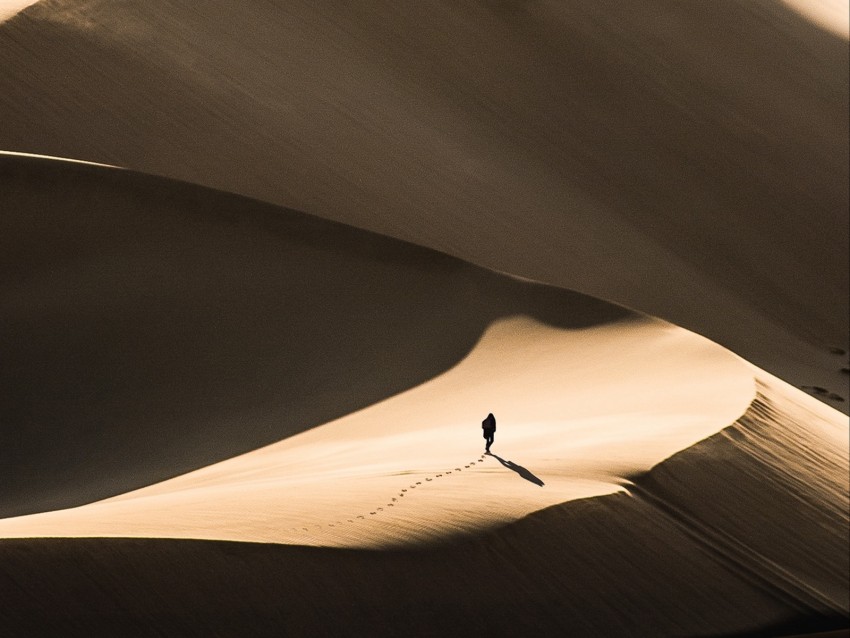 desert, sand, silhouette, dunes, lonely, wanderer