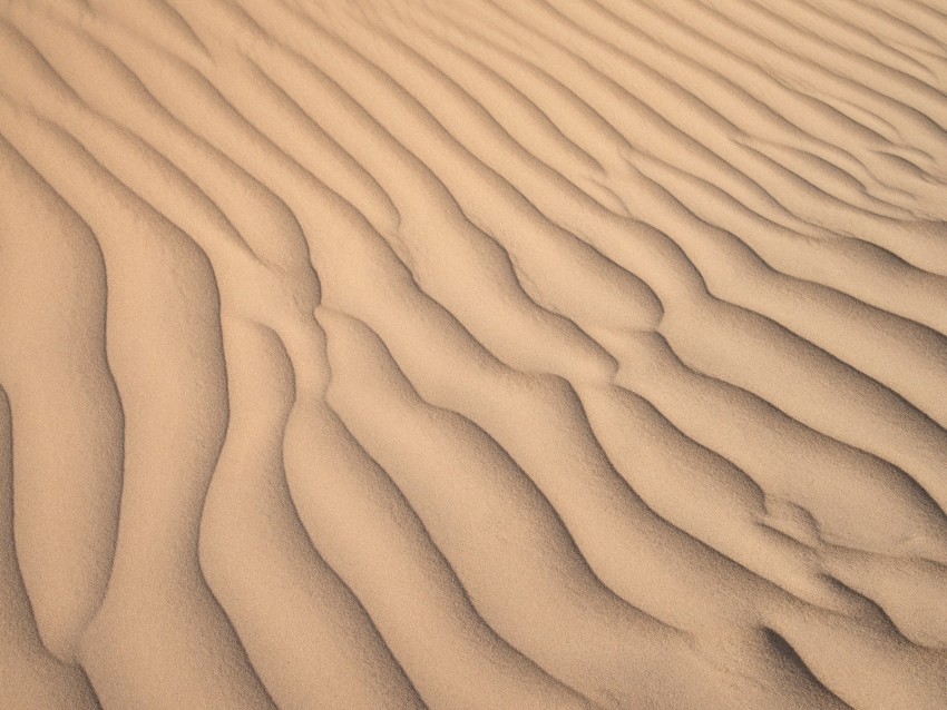 desert, sand, waves, relief, texture