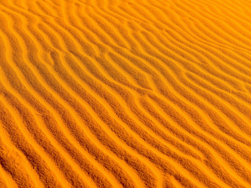 desert, sand, wavy, texture