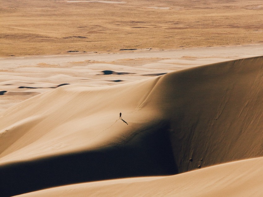 desert, silhouette, dunes, relief