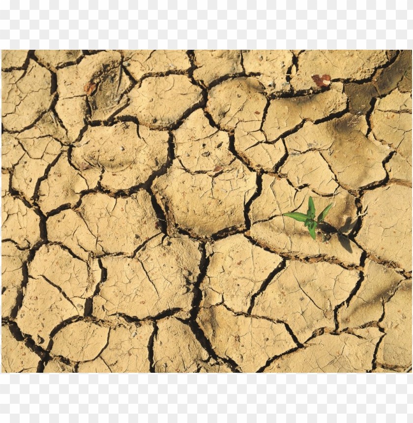 desertification day PNG transparent with Clear Background ID 162496