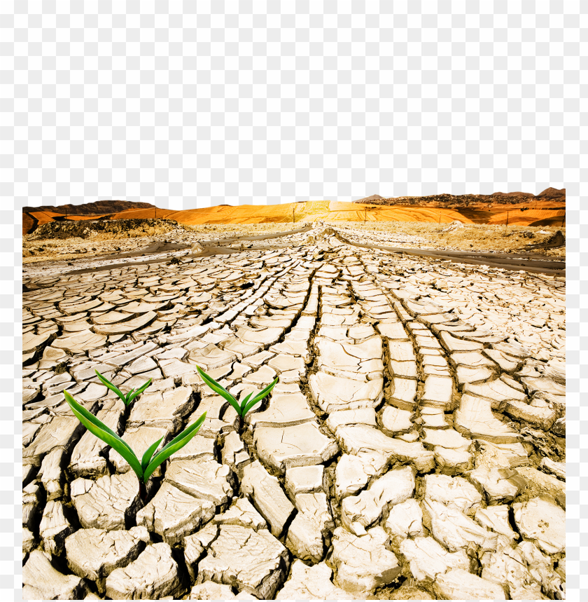 desertification day PNG transparent with Clear Background ID 162500