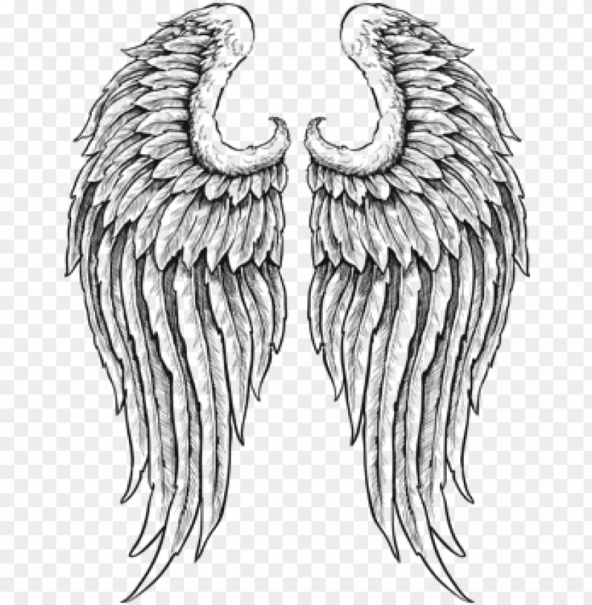 detailed angel wings with feathers black white vinyl PNG image with transparent background@toppng.com