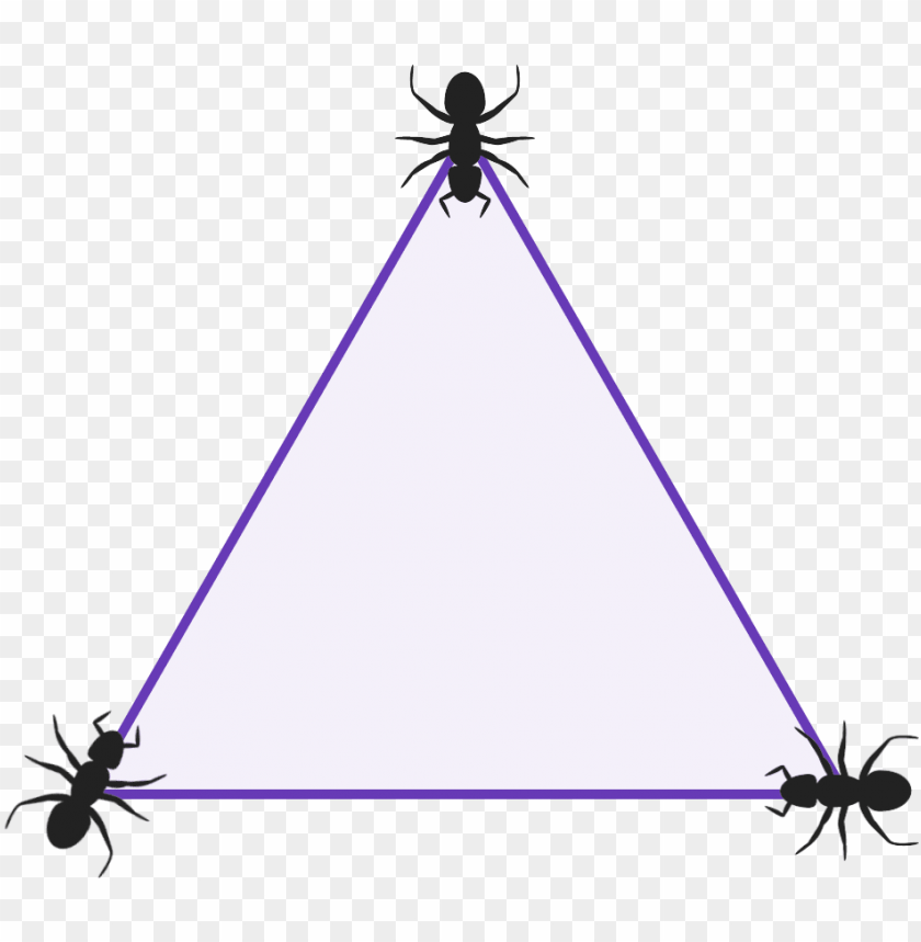 diagram of a triangle with 3 ants sat one at each vertex - triangle PNG image with transparent background@toppng.com