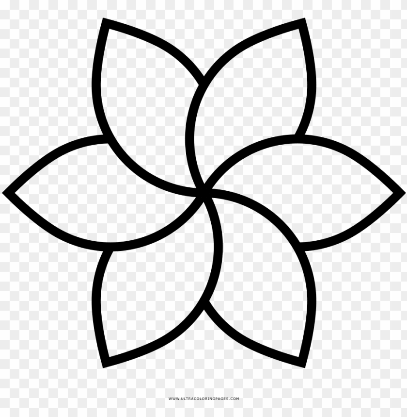 Dibujo De Flor Para Colorear Spring Flower Icon Png Image With Transparent Background Toppng