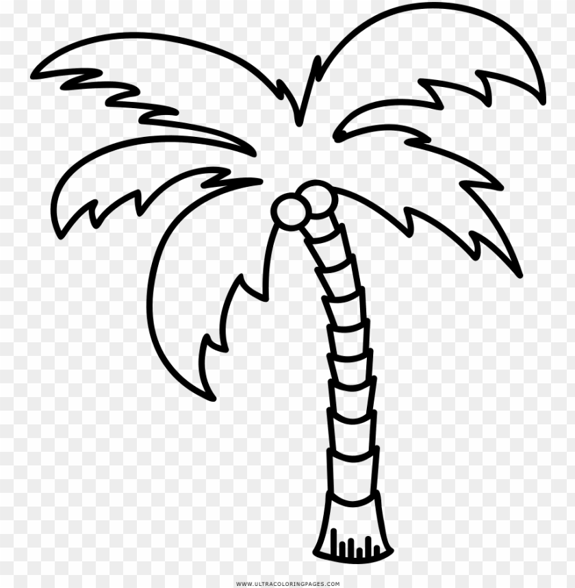 dibujo de palmera para colorear ultra coloring pages - palm tree outline  PNG image with transparent background | TOPpng