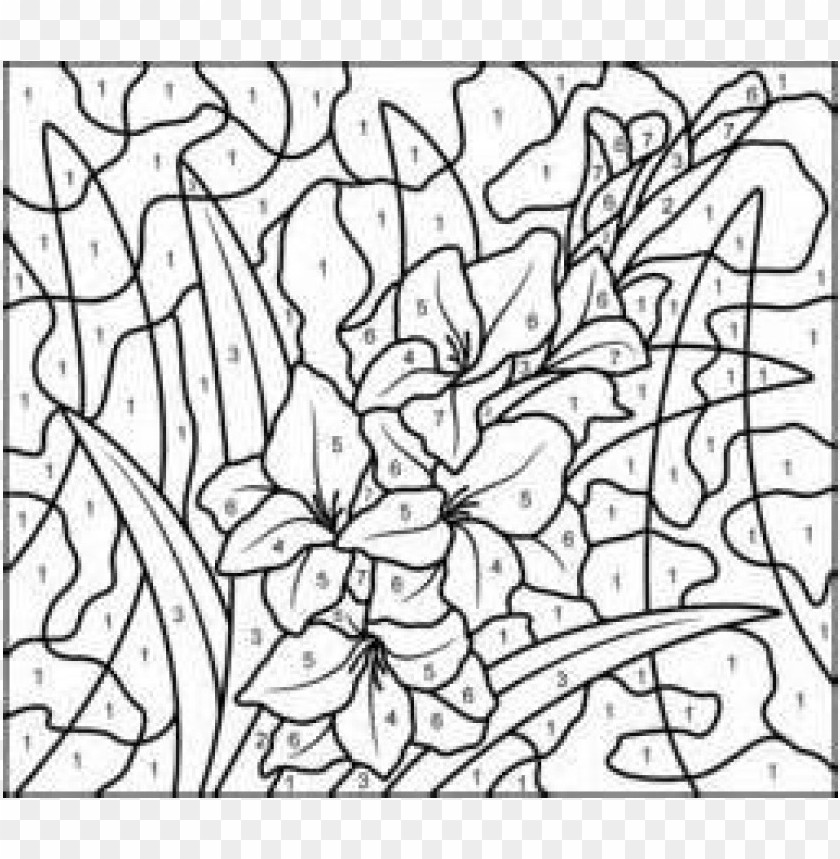 difficult color by number coloring pages png image with transparent background toppng