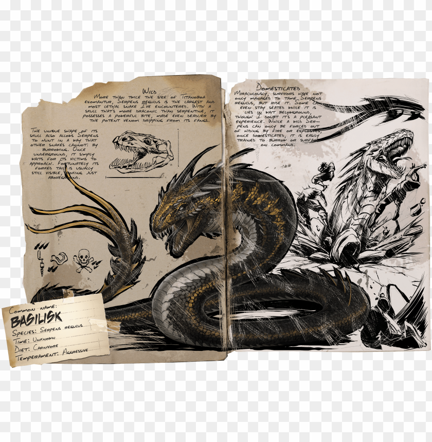 dinosaur, illustration, noah, set, animal, adventure, bible