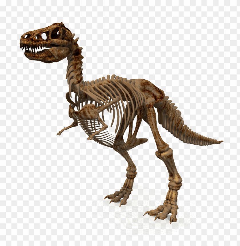 animal, dinosaur, rex, tyrannosaurus, jurassic