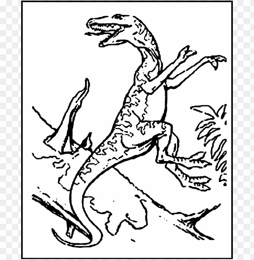 Dinosaur Color Coloring Pages PNG Transparent With Clear Background ID ...