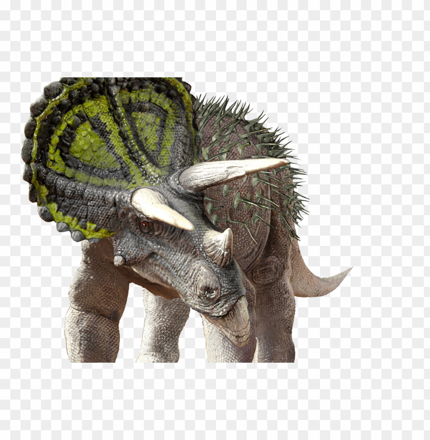 dinosaur,animals