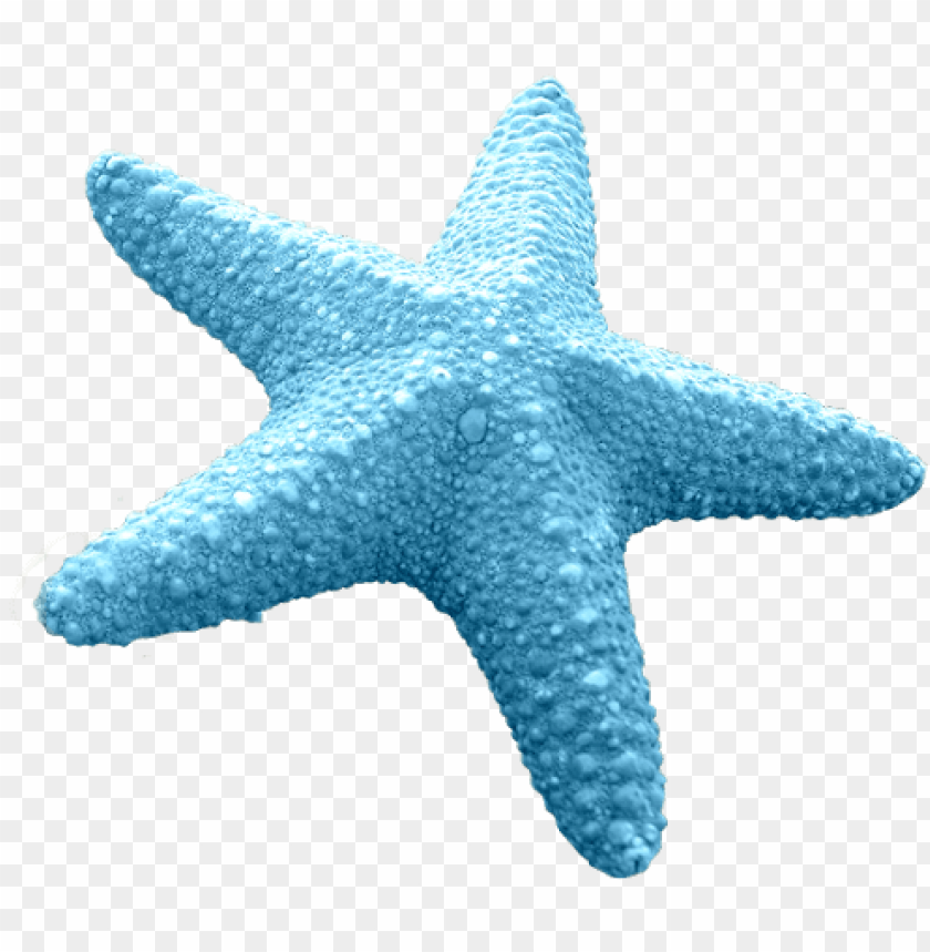 Discover Ideas About Cartoon Starfish - Blue Starfish Vector PNG Transparent With Clear Background ID 178200