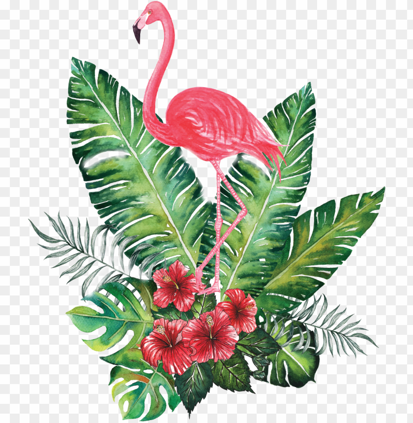 bird, nature, animal, tropical, wildlife, pineapple, birds