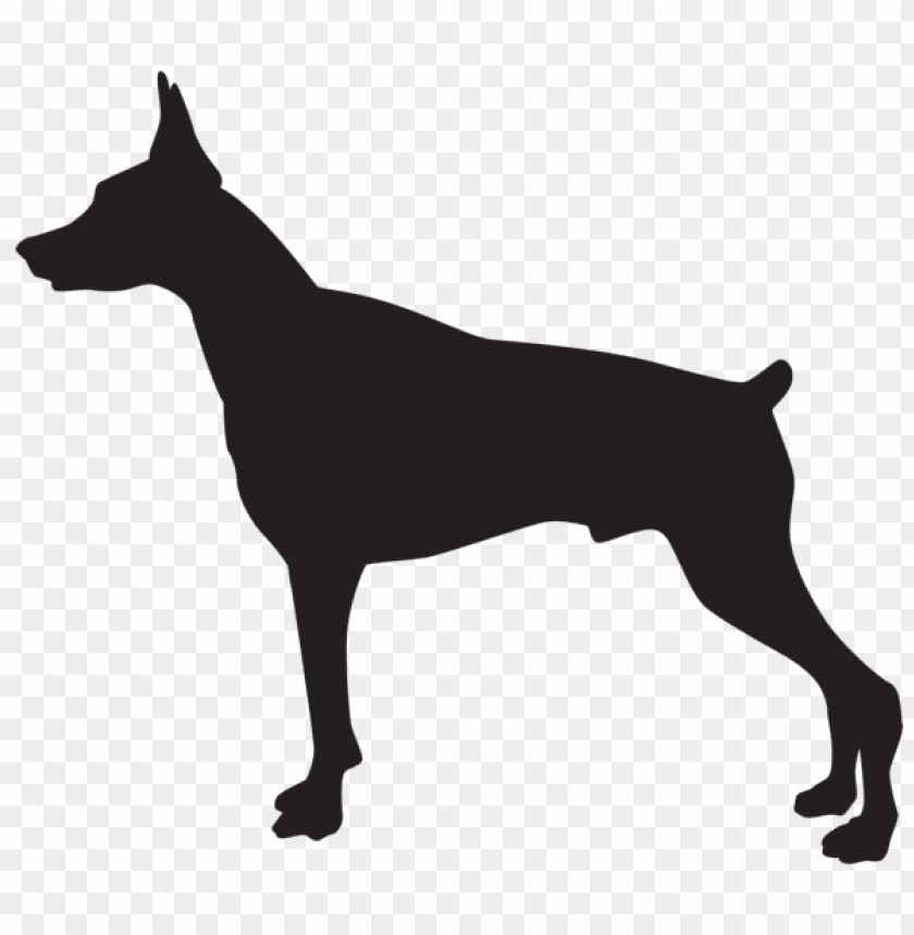 Transparent doberman dog silhouette PNG Image - ID 49480