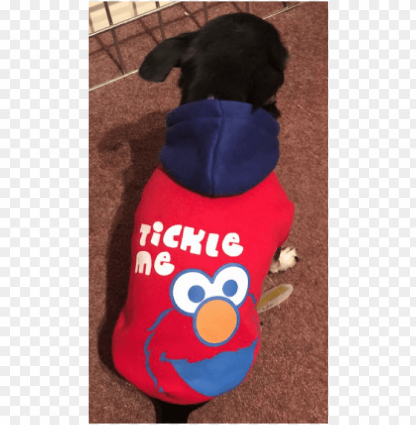 dog clothes PNG transparent with Clear Background ID 182441