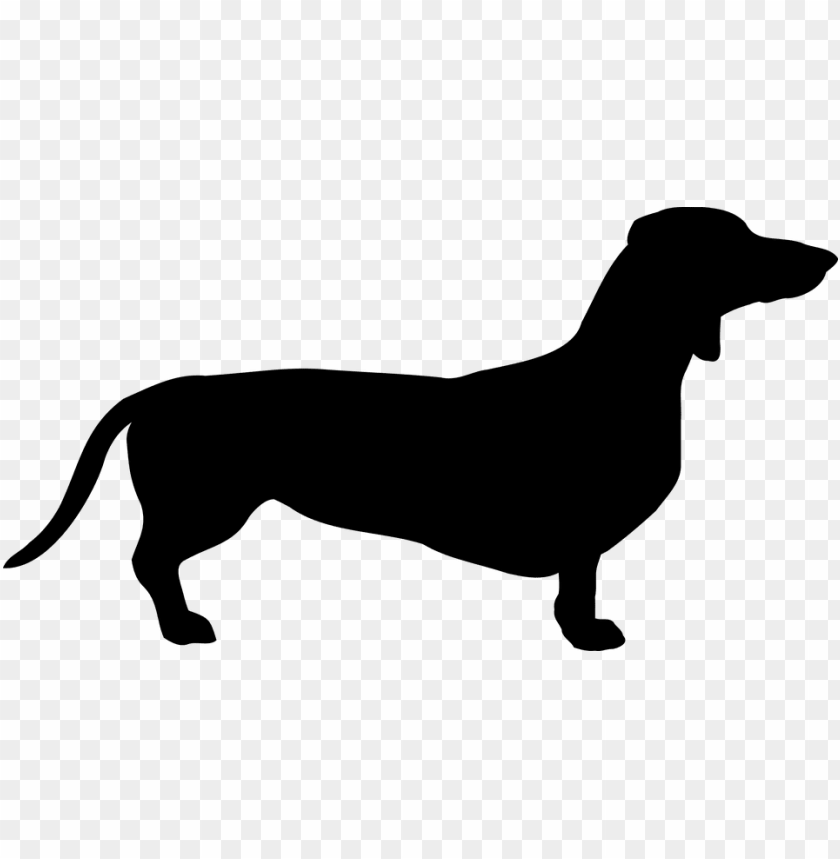 free PNG dog dachshund breed pet coat doggy the sil - dachshund sv PNG image with transparent background PNG images transparent