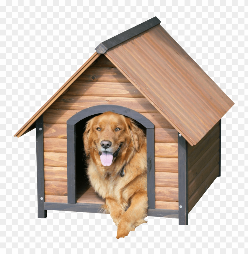 
objects
, 
dog house
, 
dog
, 
pet
, 
object
, 
animal
, 
cage
