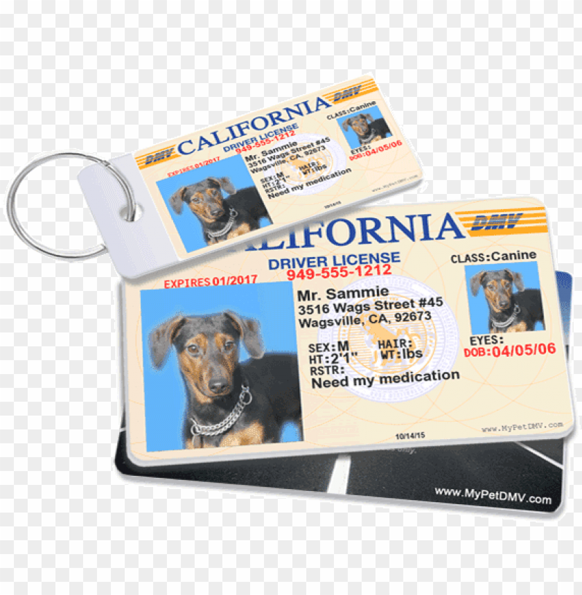 dog id PNG transparent with Clear Background ID 87217
