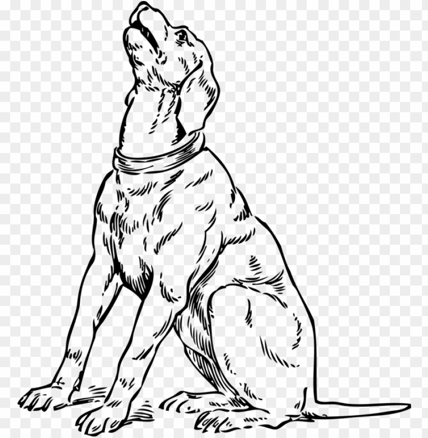 dog sitting, dog paw print, hot dog, funny dog, cute dog, camera drawing