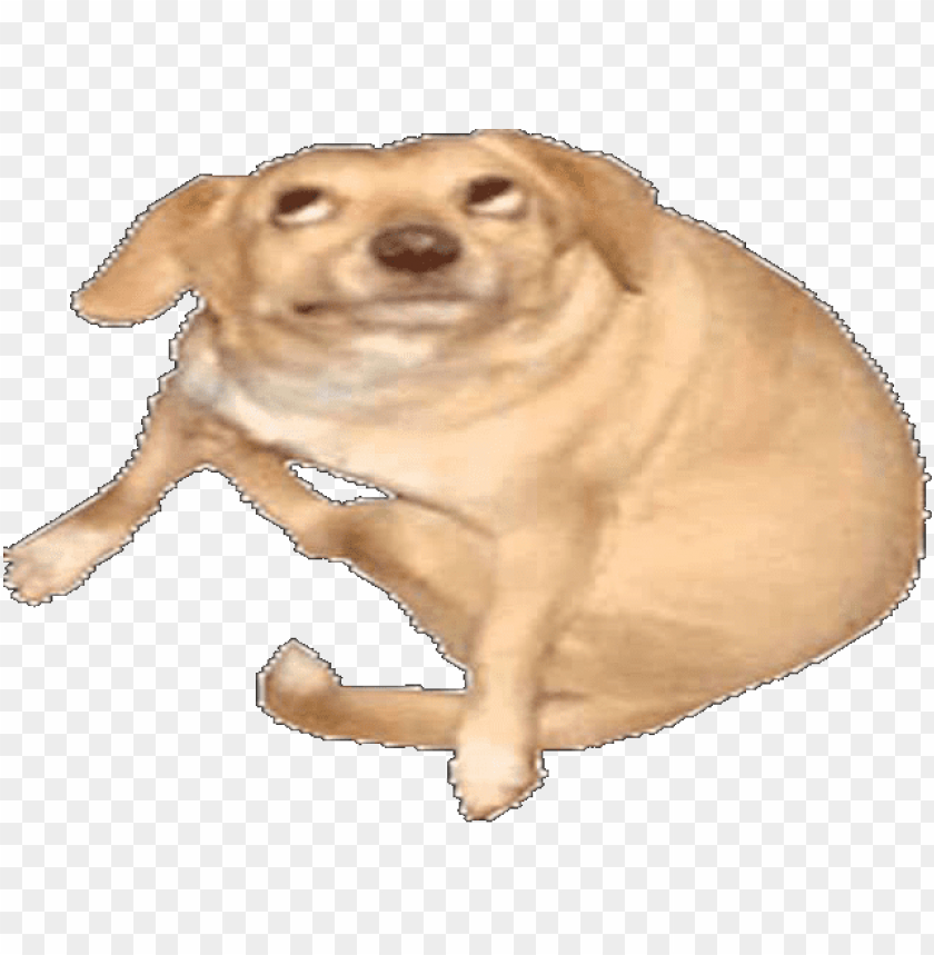 dog oh you do PNG transparent with Clear Background ID 223960