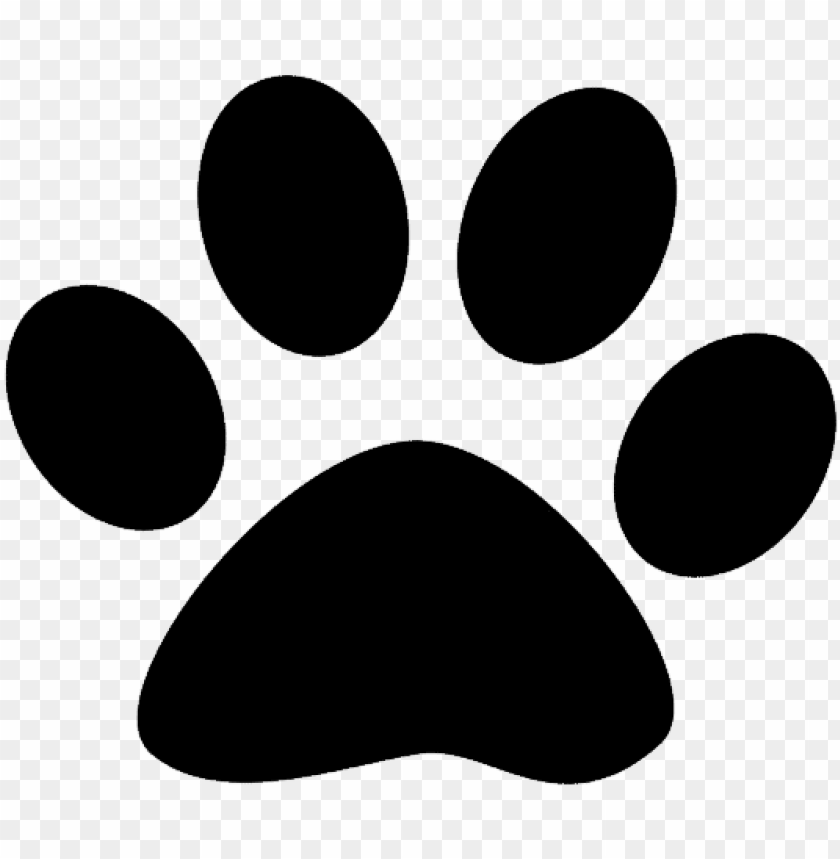 paw print with transparent background