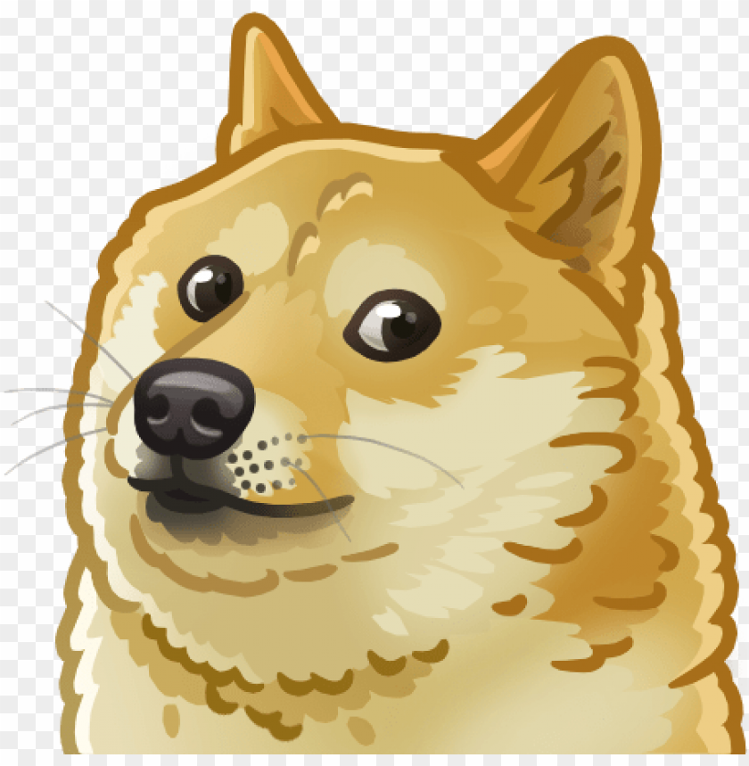 Doge Fluffy Artwork PNG Image With Transparent Background | TOPpng