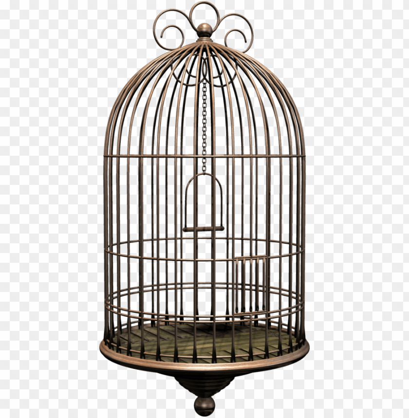 bird cage, phoenix bird, twitter bird logo, big bird, book cover, steel cage