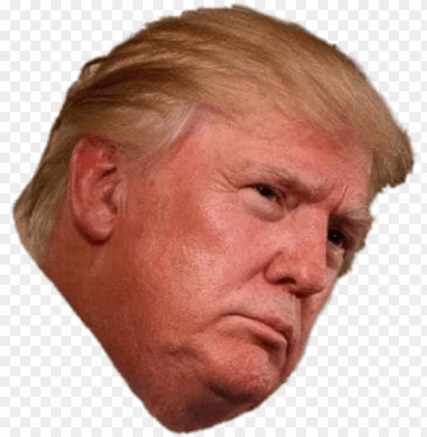 donald trump is listening - donald trump head transparent background PNG image with transparent background@toppng.com