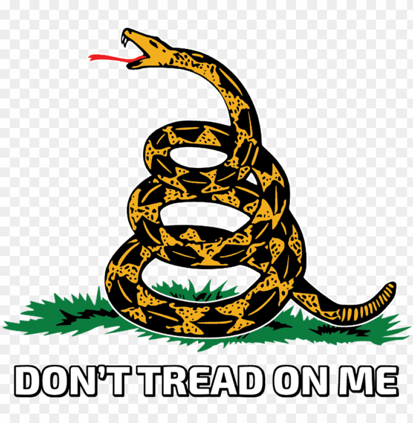 dont tread on me snake tattoos gadsden flag dont - don t tread on me leg tattoo PNG image with transparent background@toppng.com