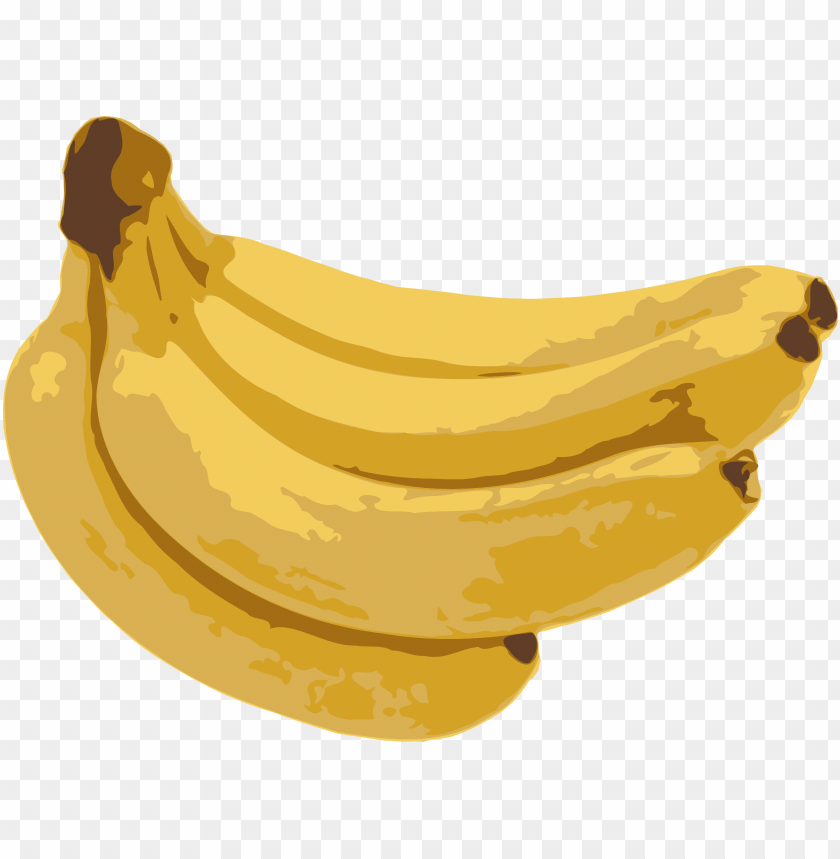 web, banana split, illustration, forest, banana, jungle, graphic