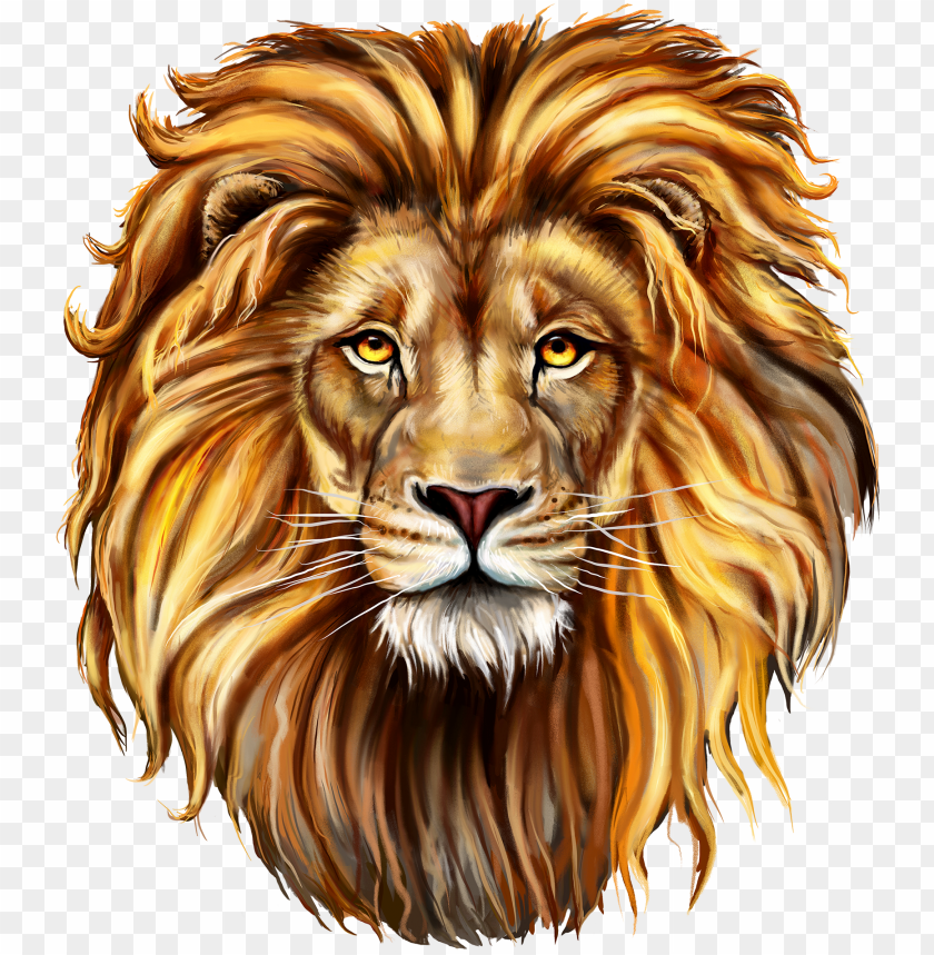 download - lion front face drawi PNG image with transparent background |  TOPpng