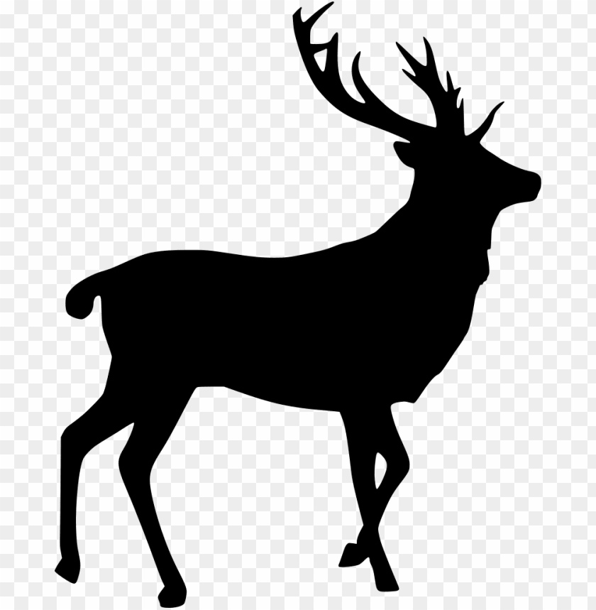 web, illustration, deer head, isolated, technology, background, animal
