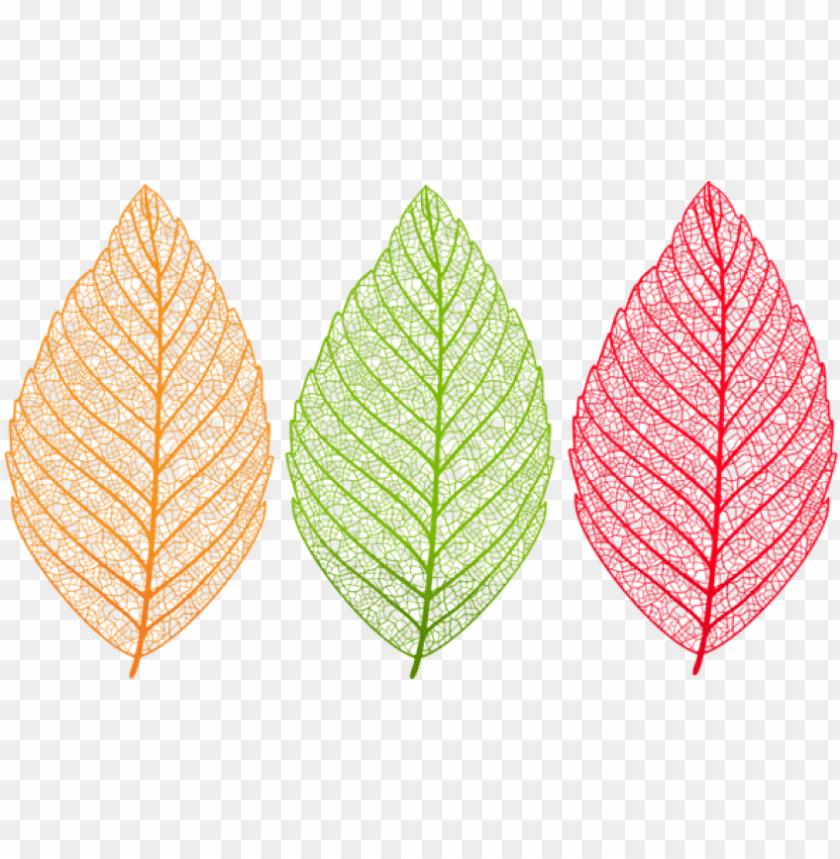 download transparent leaves set clipart png photo translucent leaf transparent background PNG transparent with Clear Background ID 175595