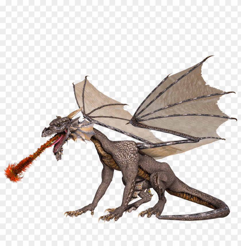 Dragon Spitting Fire Png Image With Transparent Background Toppng