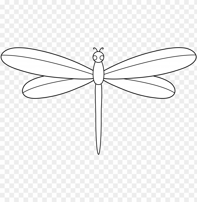 dragonfly - dragonfly cartoon white PNG image with transparent background |  TOPpng