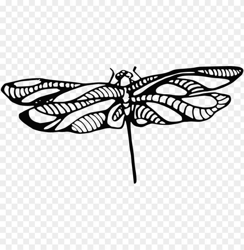 miscellaneous, tattoos, dragonfly tattoo, 