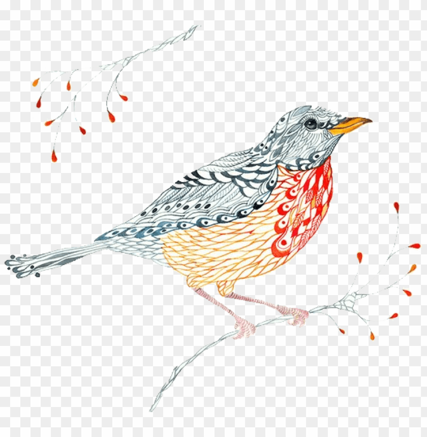watercolor circle, phoenix bird, twitter bird logo, robin, watercolor brush strokes, big bird