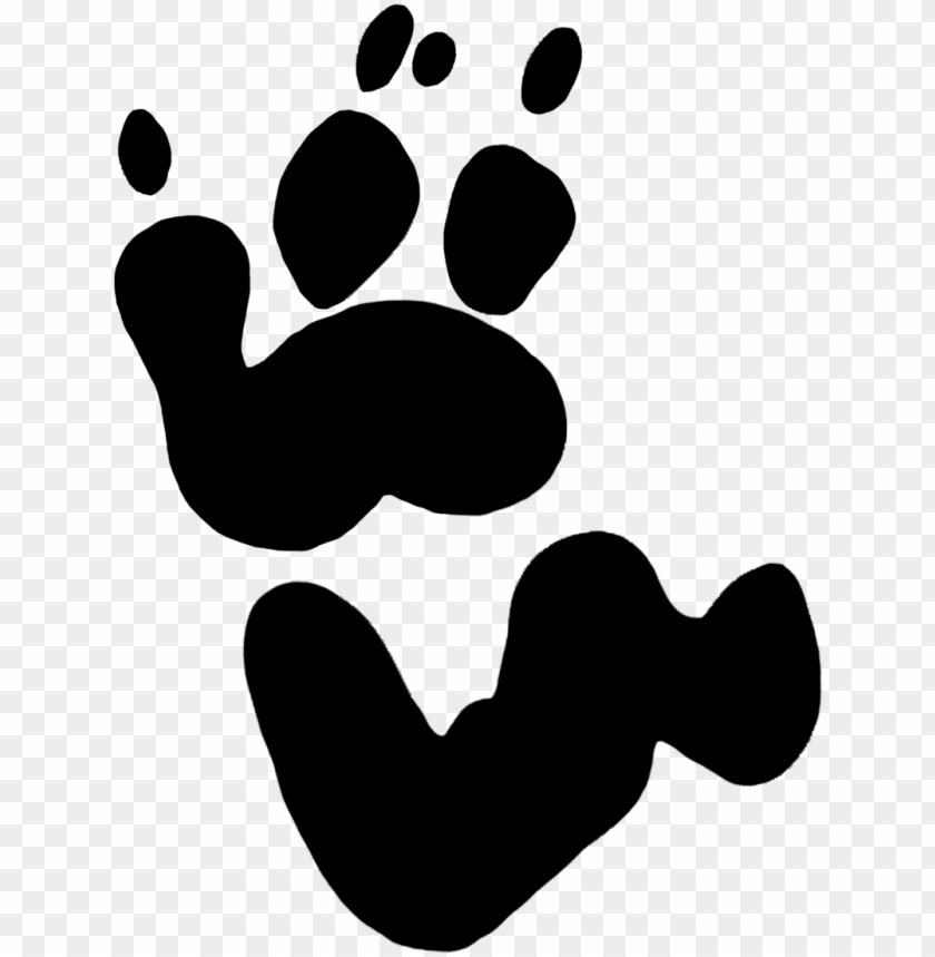 illustration, footprints, beer, dog footprint, wild, animal footprint, teddy bear