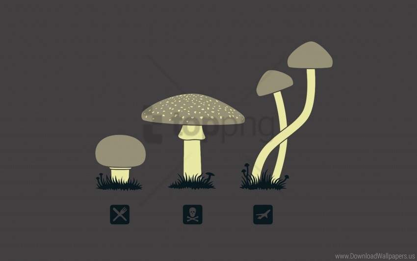 Mushrooms In Dark Background Wallpaper