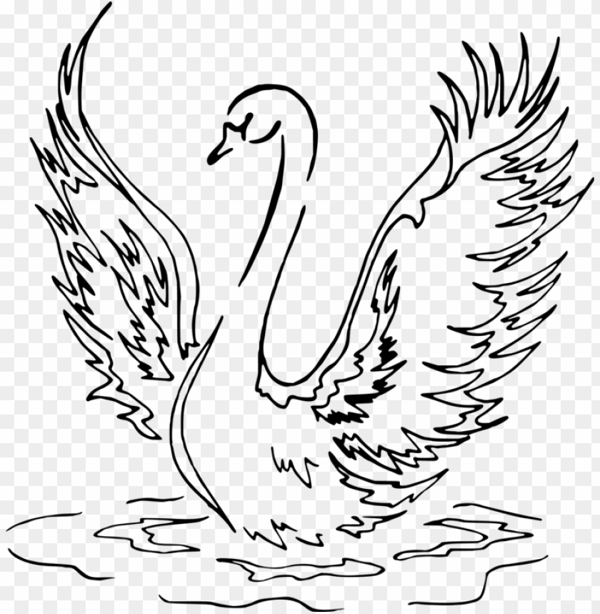 Swan Drawing & Sketches for Kids - Kids Art & Craft