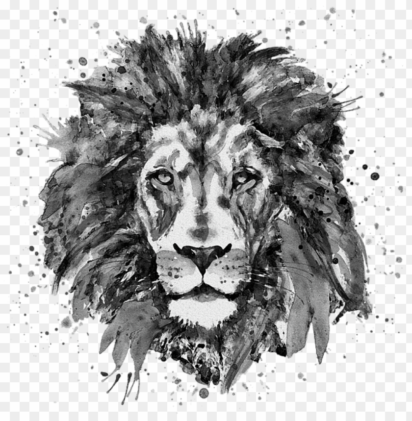 Drawing Lions Black And White - Lion Head Black And White PNG Transparent With Clear Background ID 181618