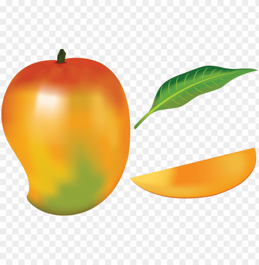 Drawing Of A Mango Fruit PNG Image With Transparent Background  TOPpng