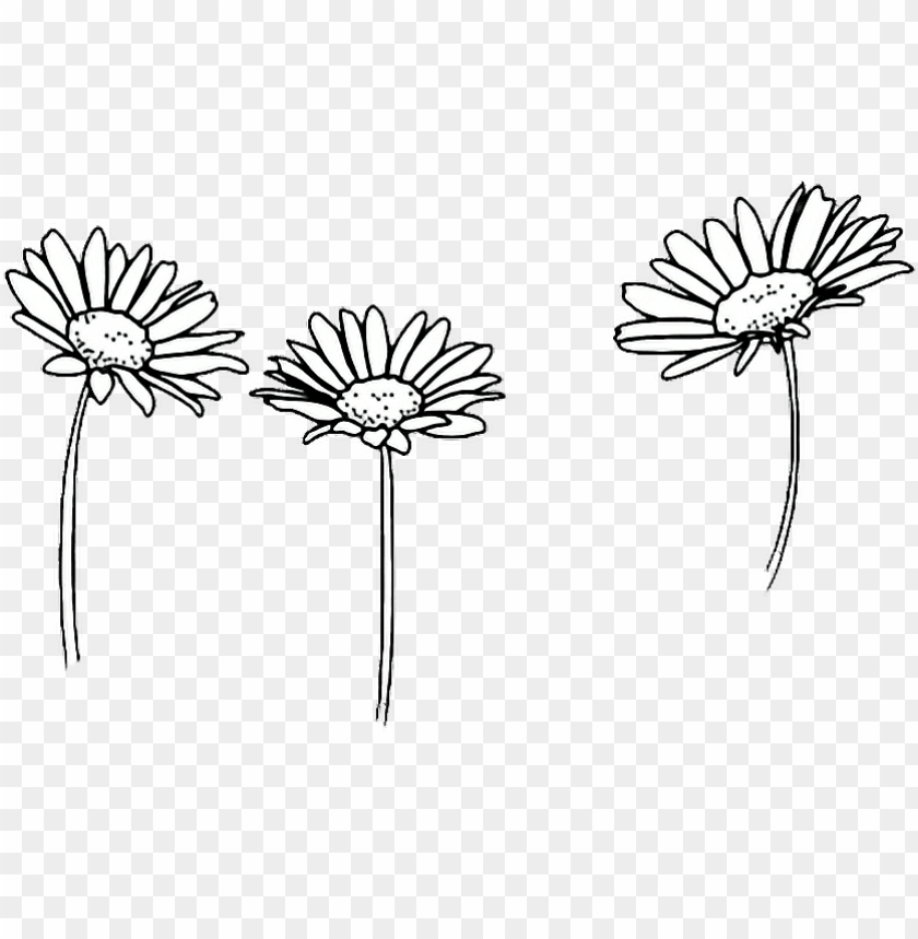 Tumblr Transparent Starbucks Google Search Tumblr Transparents  Flower  Chain Drawing PNG Image  Transparent PNG Free Download on SeekPNG