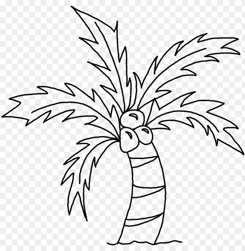 How to Draw a Palm Tree: Easy Awesome Palm Tree Drawing-saigonsouth.com.vn