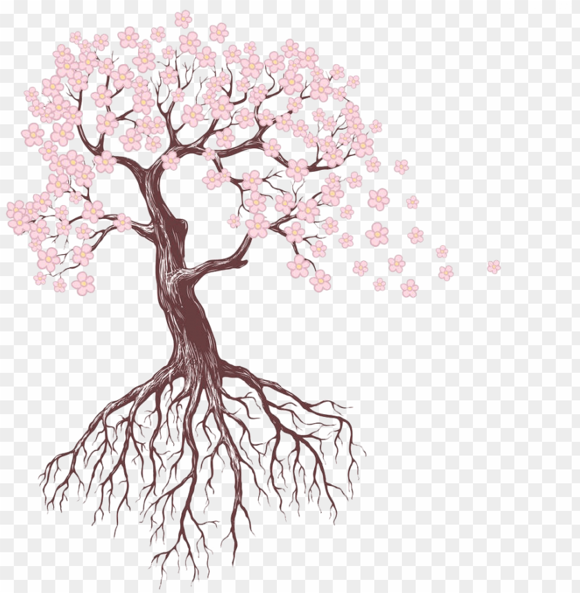 Roots Sketch PNG Transparent Images Free Download | Vector Files | Pngtree