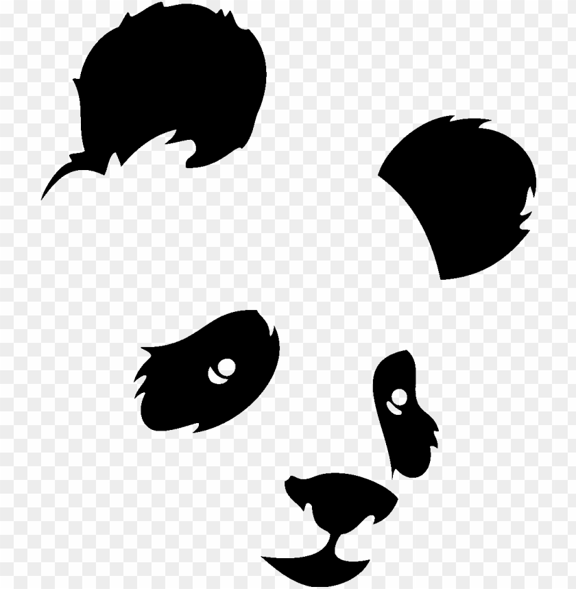set, isolated, animal, background, hand drawn, male, bear
