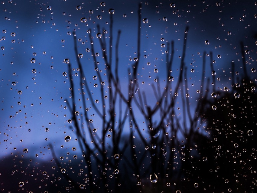 Drops Glass Moisture Branches Blur Png - Free PNG Images