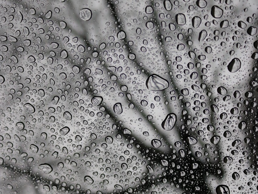 Drops Macro Bw Moisture Rain Png - Free PNG Images
