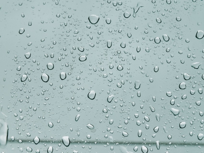 drops, surface, rain, moisture, form, wet